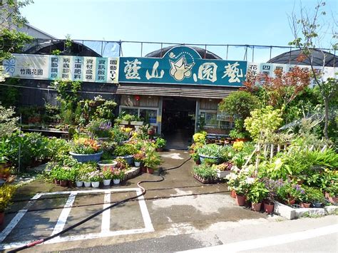 適合北部種植的果樹|藍山園藝